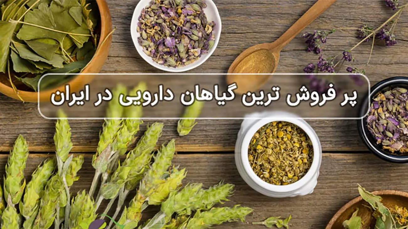 ۷ گیاه دارویی پرفروش در ایران