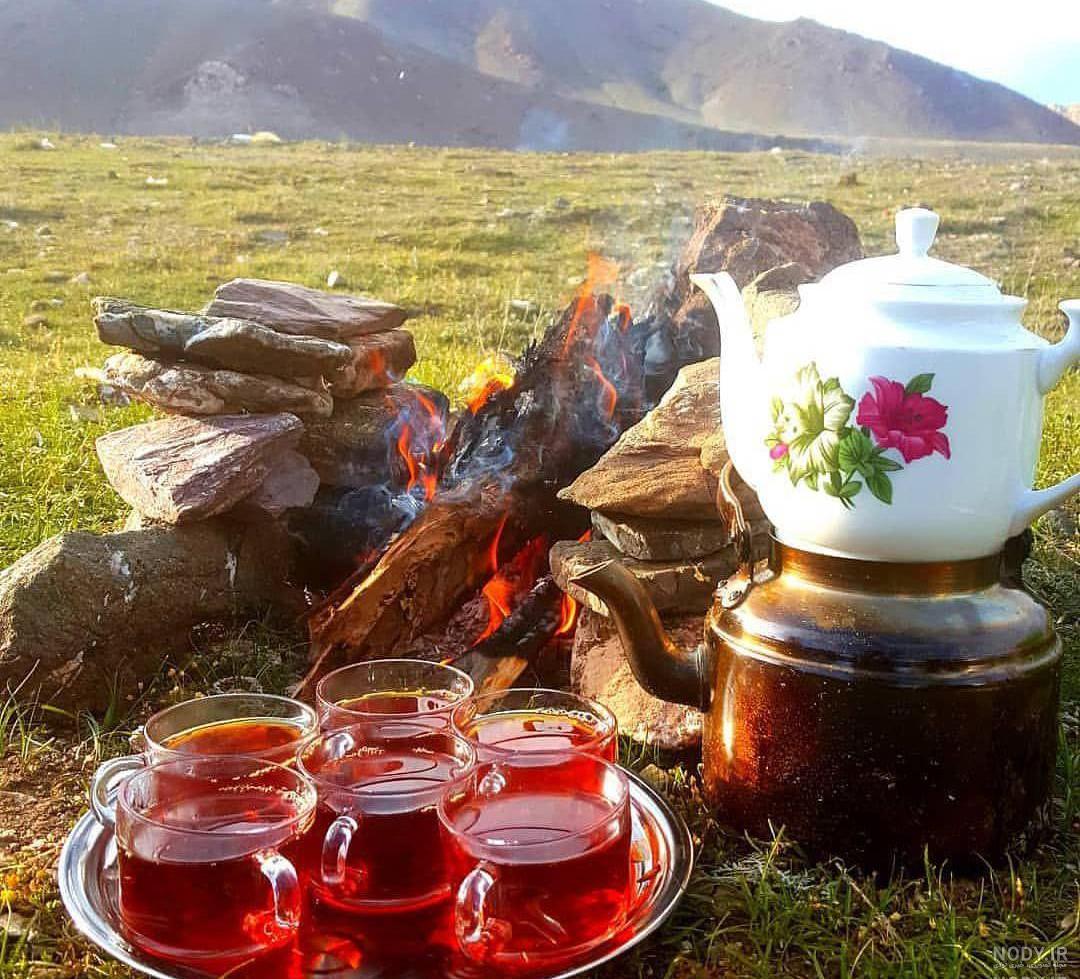 ۳ گیاه دارویی برای کاهش استرس و اضطراب